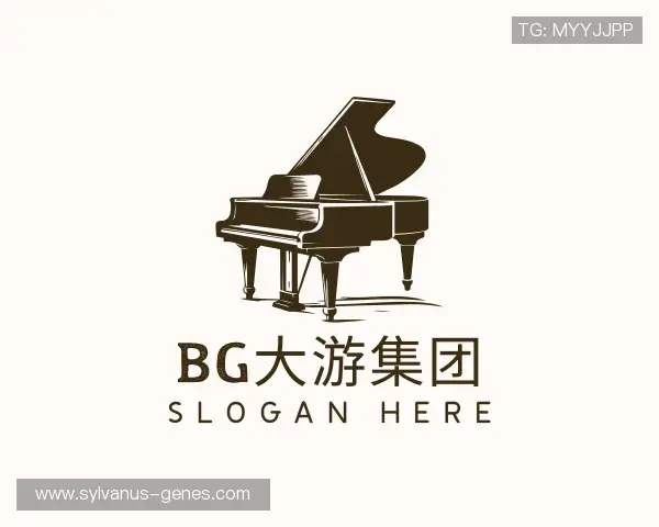 关于BG大游